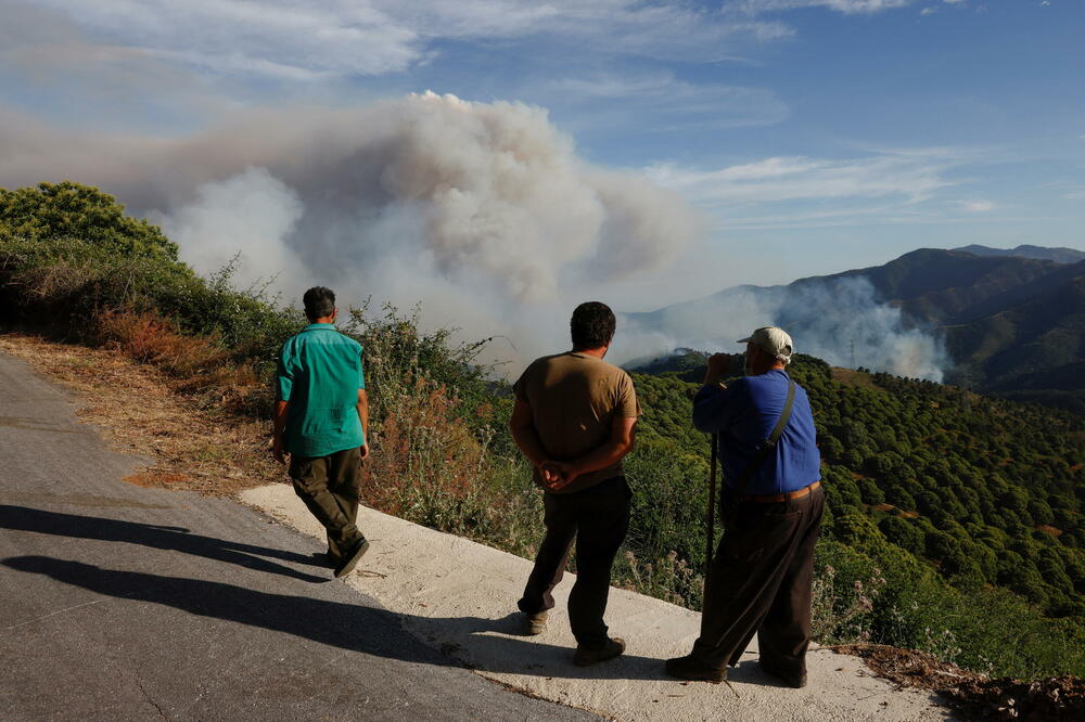 Ilustracija, Foto: Reuters