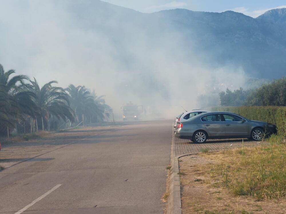 <p>Veliki broj vatrogasnih vozila gasio je požar, vjetar otežavao posao</p>