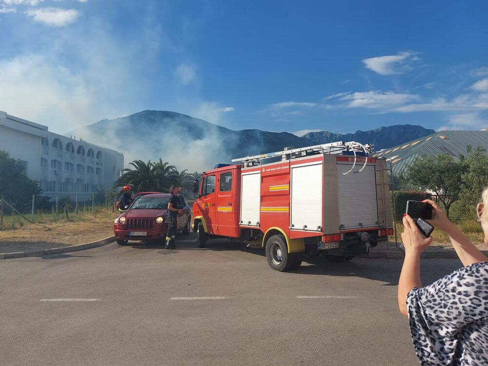 <p>Veliki broj vatrogasnih vozila gasio je požar, vjetar otežavao posao</p>