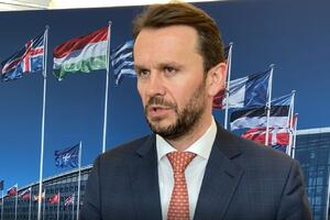 Konjević: NATO je jedinstven u smislu da pomogne Ukrajini, Putinov...