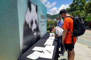 Uginuo najstariji mužjak pande u zatočeništvu na svijetu