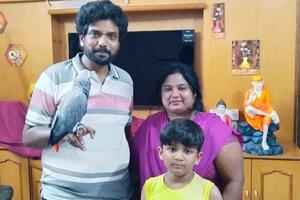 Porodica u Indiji dala nagradu od 1.000 dolara za nestalog papagaja