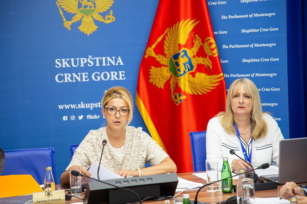 Sa jedne od prethodnih sjednica Administrativnog  odbora, Foto: Skupština Crne Gore