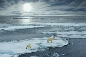 Arktik se četiri puta brže zagrijava od ostatka Zemlje