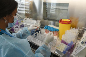 Registrovan 31 novi slučaj koronavirusa