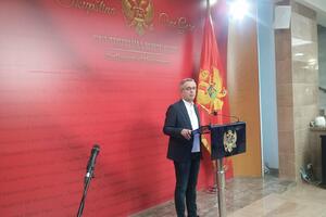Danilović: Nismo predlagali funkcije, ako je Abazović ugrožen - da...