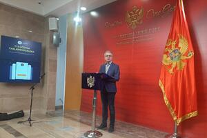 Danilović: Dokazujemo da ne zaslužujemo da vodimo državu