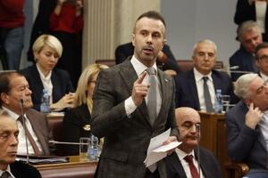 Bogdanović: Poslanici Demokrata glasaće protiv predloga da Žugić...