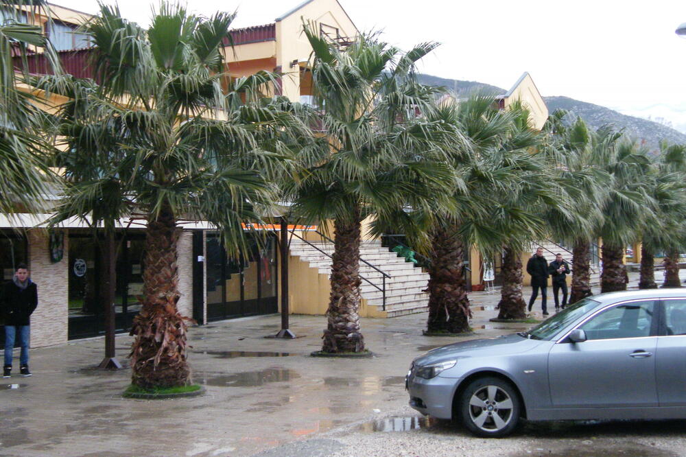 Mediteranski sportski centar, Foto: Vuk Lajović