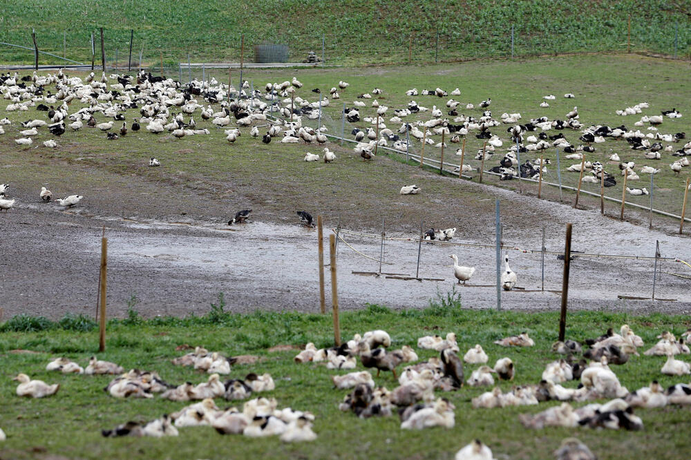 Ilustracija, Foto: Reuters