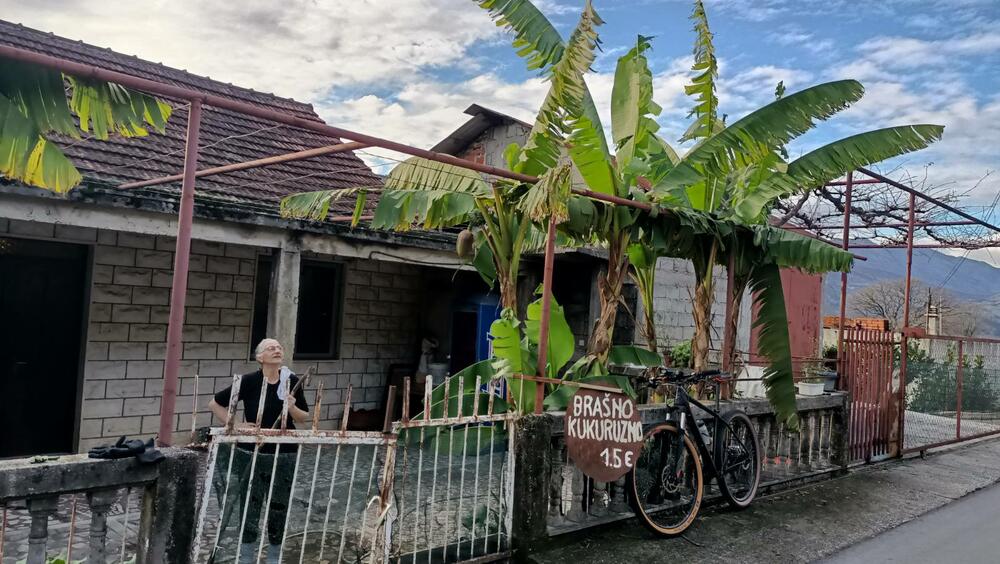 banane Bjelopavlići