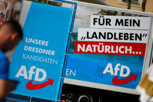 Nakon sastanka u Potsdamu: Da li je moguća zabrana AfD-a?