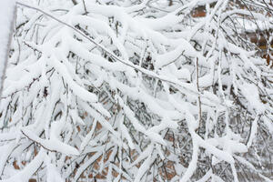 Na Žabljaku 86 centimetara snijega