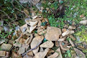 Krijumčarenje crnogorske arheološke baštine: Krađa blaga bez kazne