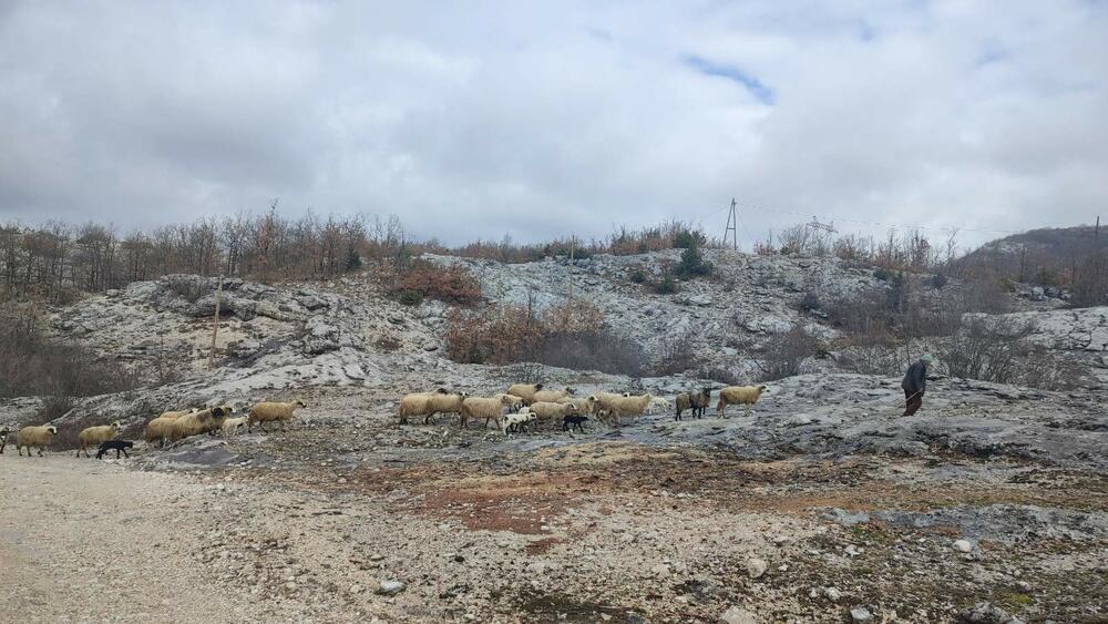 <p>Mještani grahovskog sela Prisoja godinama trpe štetu zbog lošeg puta, a na zahtjeve nisu dobili odgovor</p>