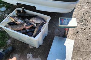 Novi snimci krivolovaca, prijava i za vanpijačnu prodaju ribe