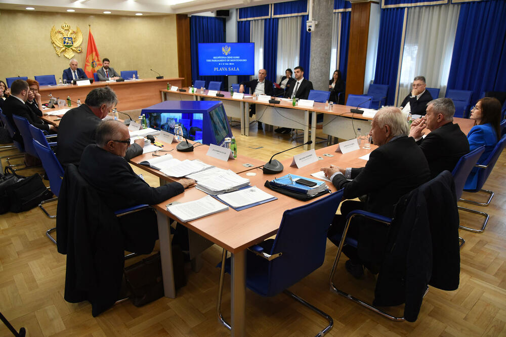 Odbor za ekonomiju pozvao na odgovornost: Sa jučerašnjeg saslušanja, Foto: Luka Zekovic