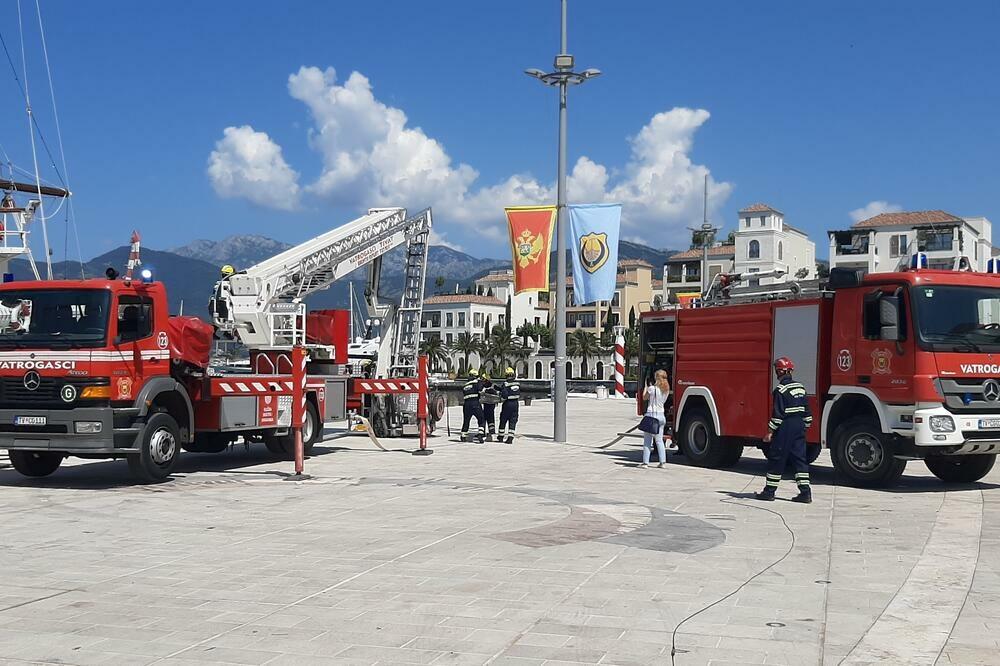 Foto: Siniša Luković