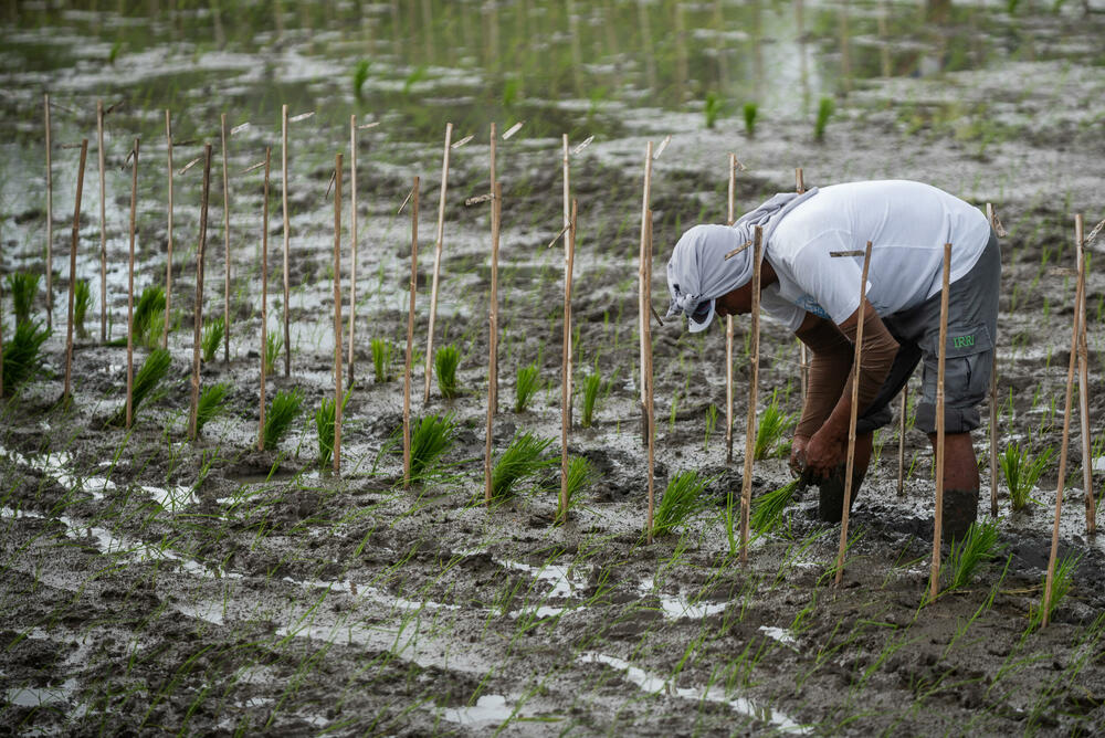 <p>Dan planete Zemlje ove godine obilježava se u svjetlu upozorenja naučnika da zbog zagađenja predstoje ekstremnije klimatske promjene i rekordno visoke tempetature</p>