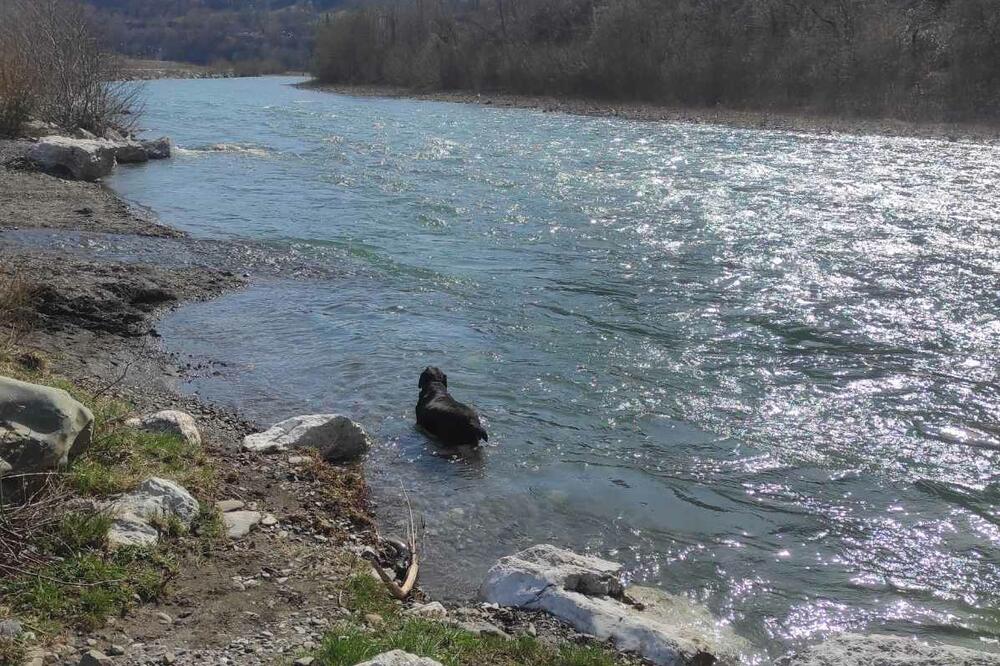 Niko ne kontroliše rijeke: Tara, Foto: Dragana Šćepanović
