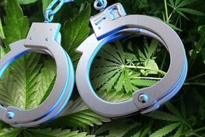 Oduzeta marihuana, uhapšen Novljanin
