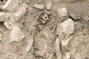 Arheolozi u Peruu pronašli mumiju staru 3.000 godina