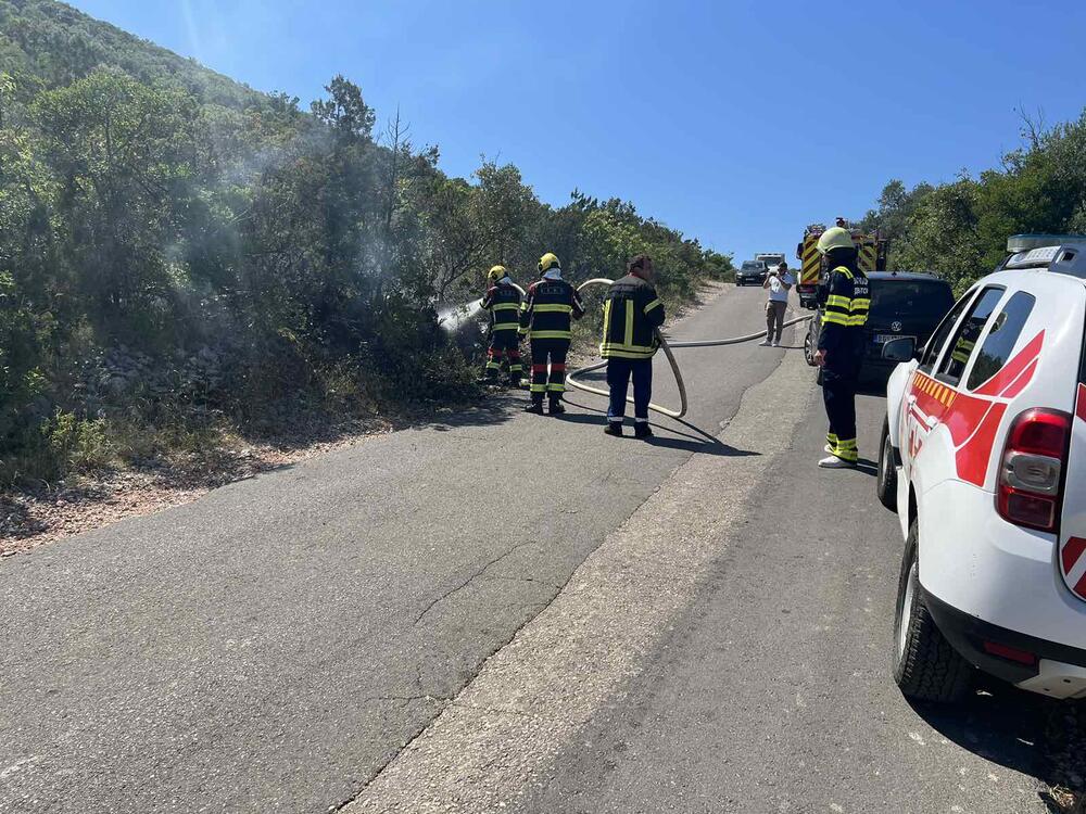 <p>Akcija dobrovoljnih vatrogasaca na Luštici</p>