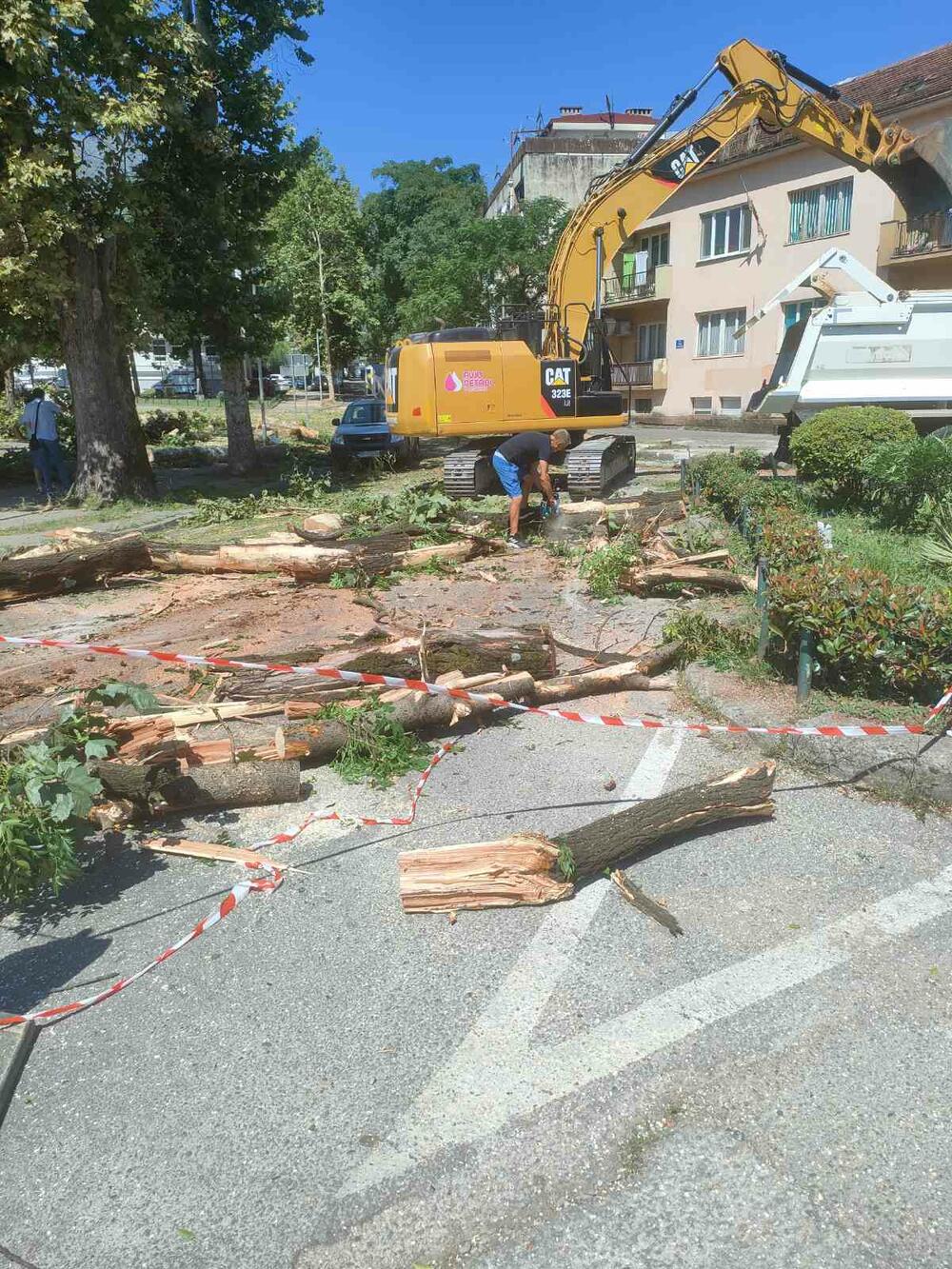 <p>Danilovgrađanin Nenad Savović kazao je Vijestima da je Opština, iako su najavili da će posjeći samo tri platana "ispred Osnovne škole napravila masakr"</p>