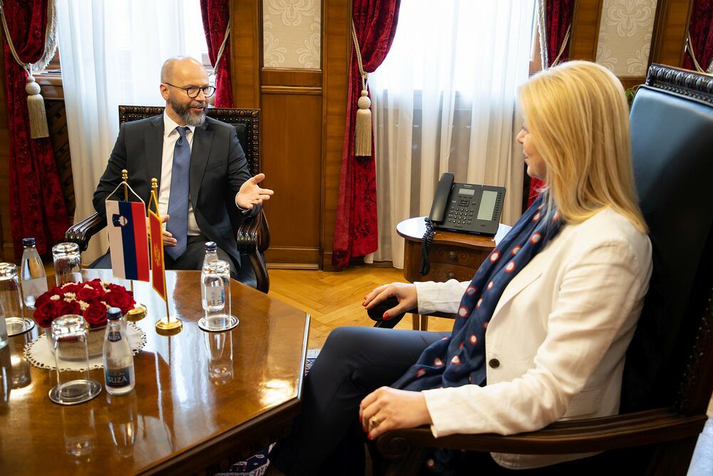 <p>“Posebno cijenimo bezrezervnu podršku Slovenije evropskoj integraciji Crne Gore, kao i kontinuiranu afirmaciju evropske perspektive Zapadnog Balkana”, kazala je Đurović</p>