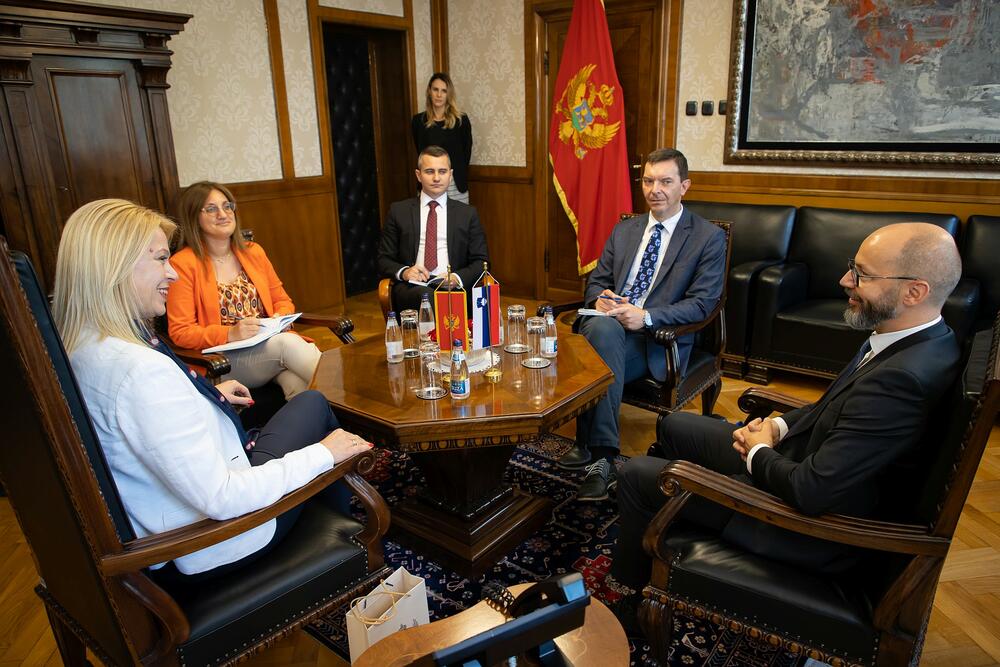 <p>“Posebno cijenimo bezrezervnu podršku Slovenije evropskoj integraciji Crne Gore, kao i kontinuiranu afirmaciju evropske perspektive Zapadnog Balkana”, kazala je Đurović</p>