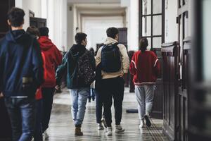 Srednješkolsko obrazovanje u raljama društvenih reformi