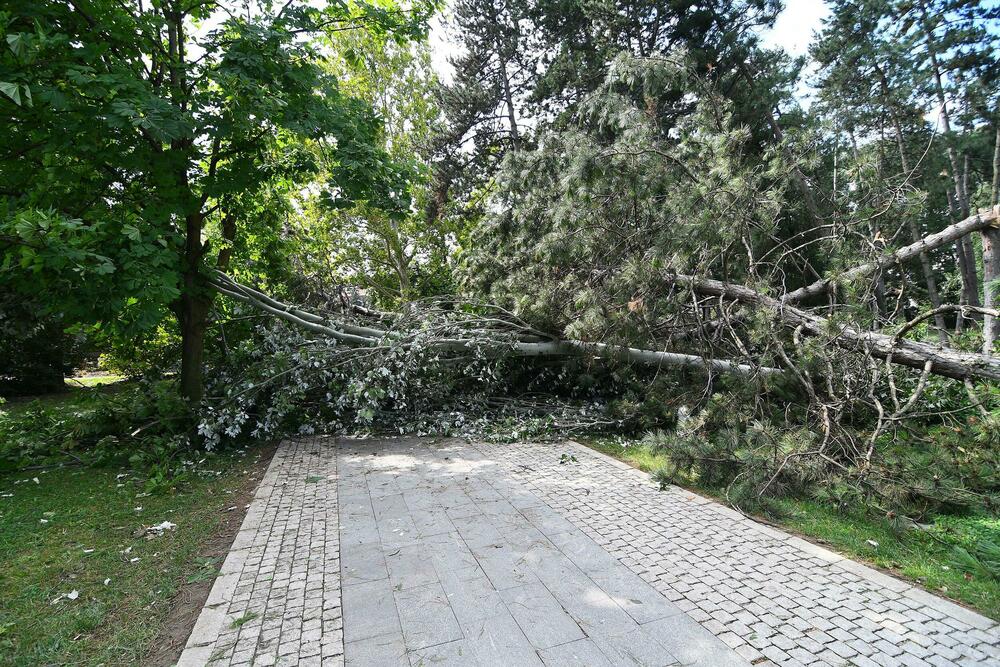 <p>Prigradsko mjesto Kovilj od petka uveče nema struje, slično je u djelovima prigradskih naselja Slana bara, Vidovdansko naselje i Adice</p>