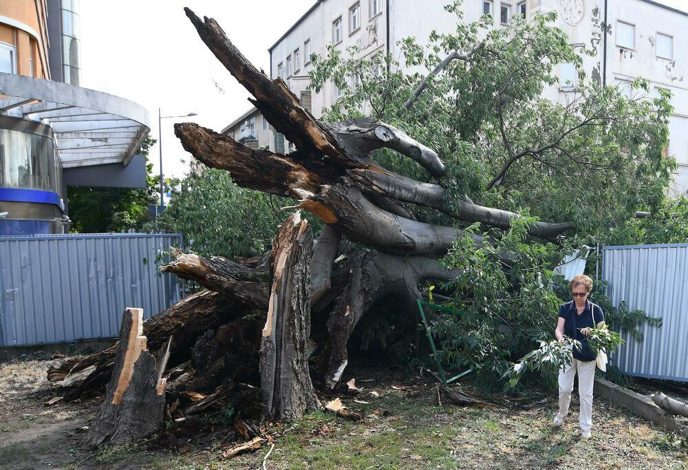 <p>Prigradsko mjesto Kovilj od petka uveče nema struje, slično je u djelovima prigradskih naselja Slana bara, Vidovdansko naselje i Adice</p>