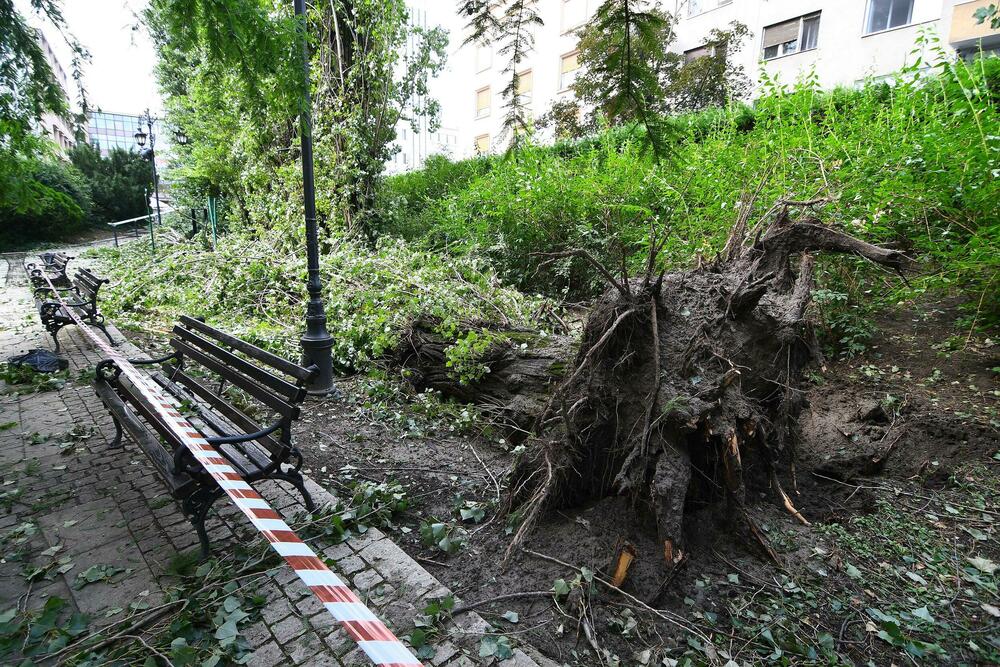 <p>Prigradsko mjesto Kovilj od petka uveče nema struje, slično je u djelovima prigradskih naselja Slana bara, Vidovdansko naselje i Adice</p>