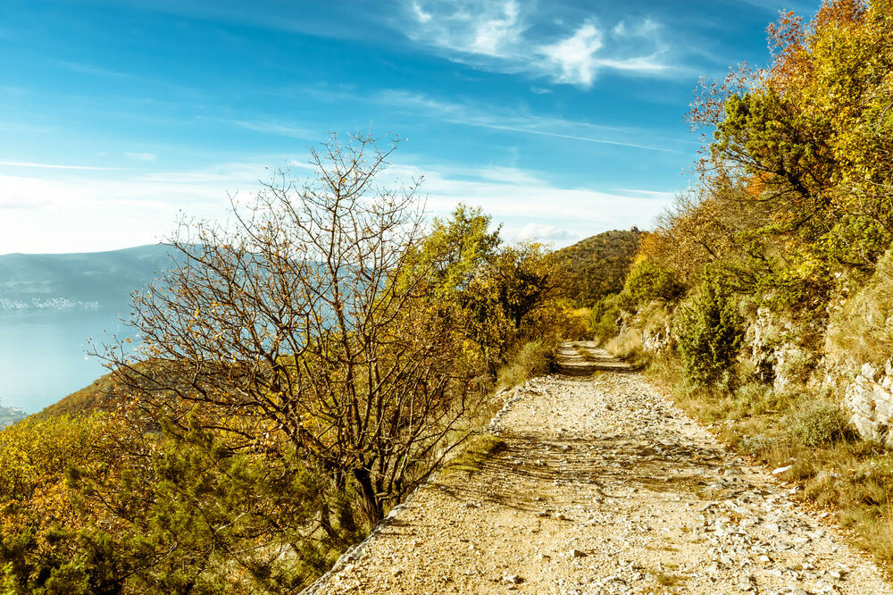 <p><em>Kroz istoriju ovog malog grada postoji više mišljenja o značenju imena Tivat. Ista ukazuju na to da je Tivat dobio ime po Ilirskoj kraljici, Hrišćanskim svecima ili jednostavno da je to keltska riječ koja znači grad.</em></p>