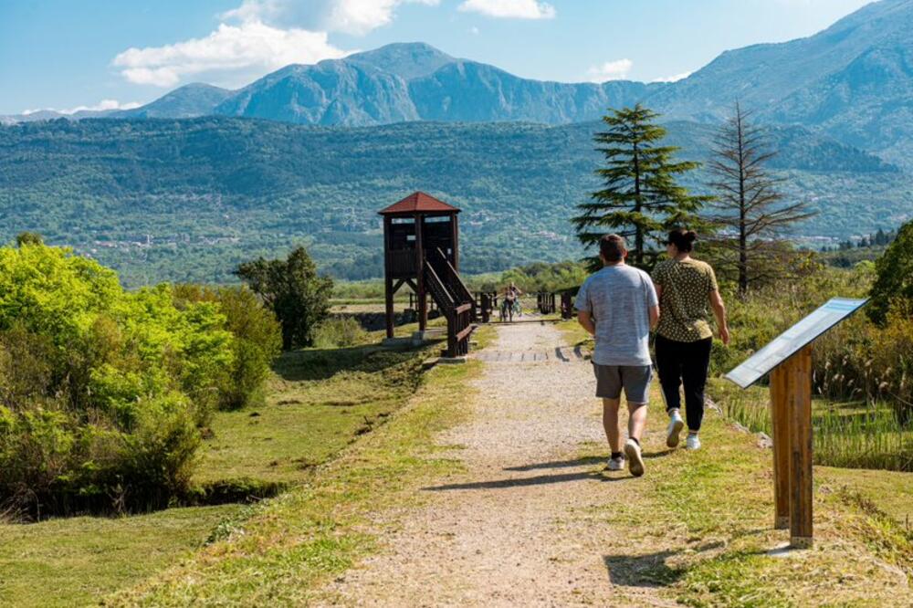 <p><em>Kroz istoriju ovog malog grada postoji više mišljenja o značenju imena Tivat. Ista ukazuju na to da je Tivat dobio ime po Ilirskoj kraljici, Hrišćanskim svecima ili jednostavno da je to keltska riječ koja znači grad.</em></p>