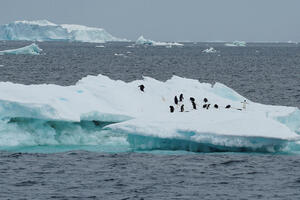 Novo upozorenje - topljenje leda na Antarktiku približava se tački...
