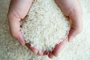 FAO: Zabilježen skok cijena pirinča