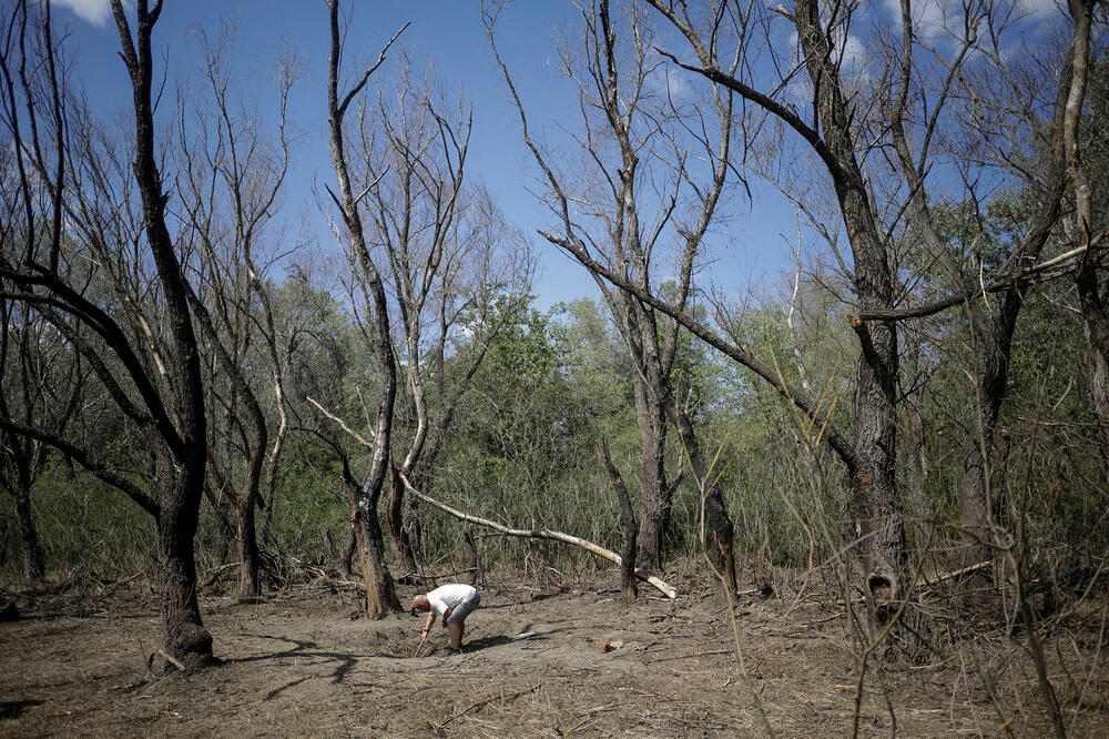 Rumunska vojska pronašla fragmente dronova "slične onima koje koristi ruska vojska", Foto: Reuters