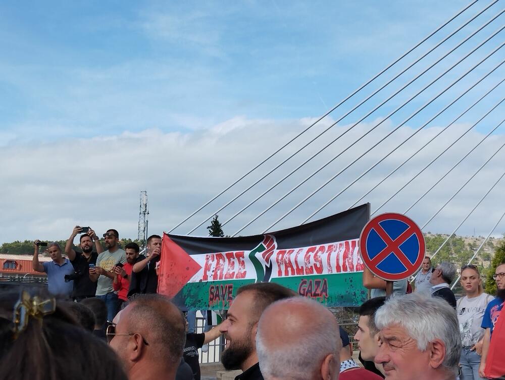 <p>Organizatori protesta su studenti i mladi iz Crnogorsko-palestinskog društva</p>