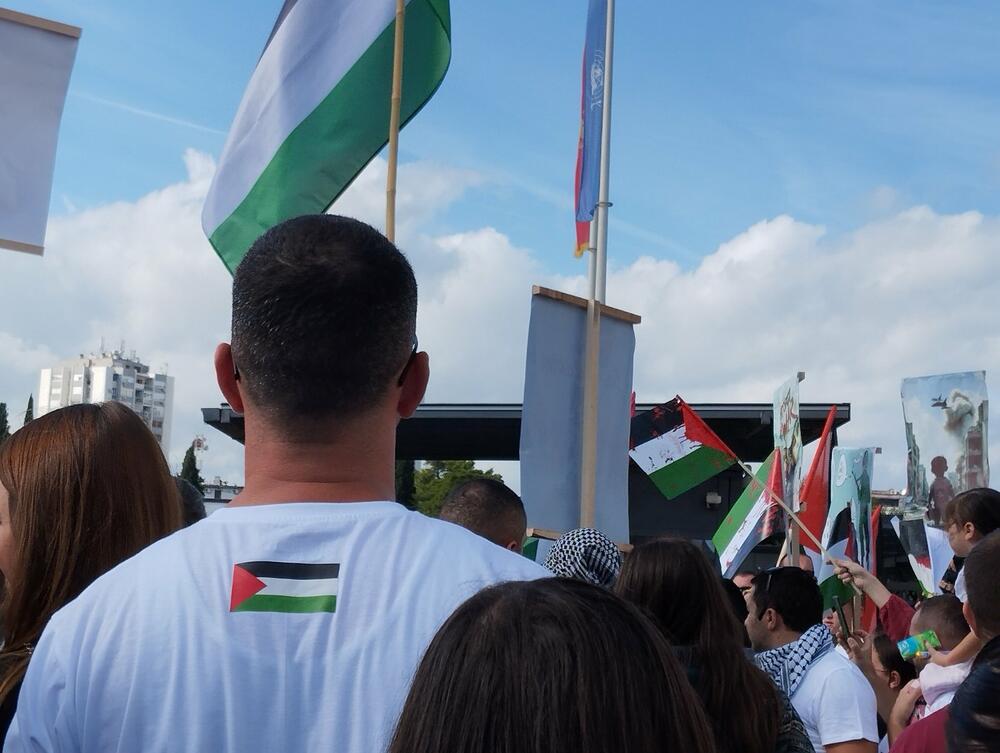 <p>Organizatori protesta su studenti i mladi iz Crnogorsko-palestinskog društva</p>