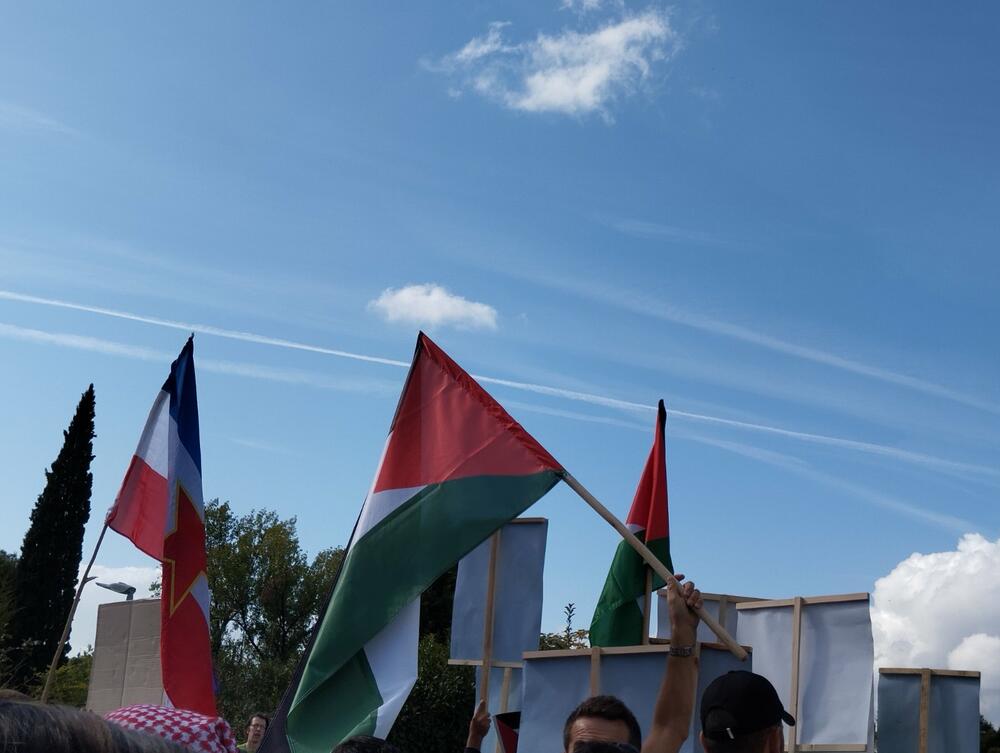 <p>Organizatori protesta su studenti i mladi iz Crnogorsko-palestinskog društva</p>