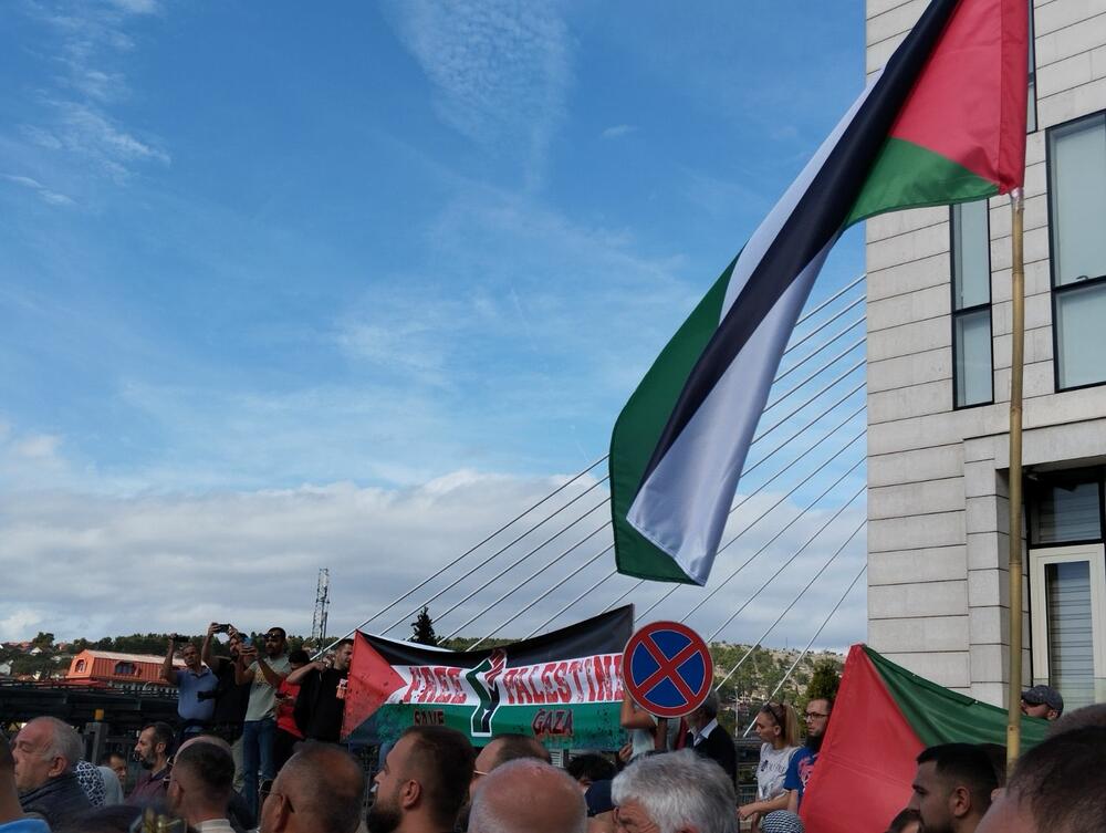 <p>Organizatori protesta su studenti i mladi iz Crnogorsko-palestinskog društva</p>