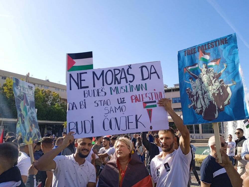 <p>Organizatori protesta su studenti i mladi iz Crnogorsko-palestinskog društva</p>