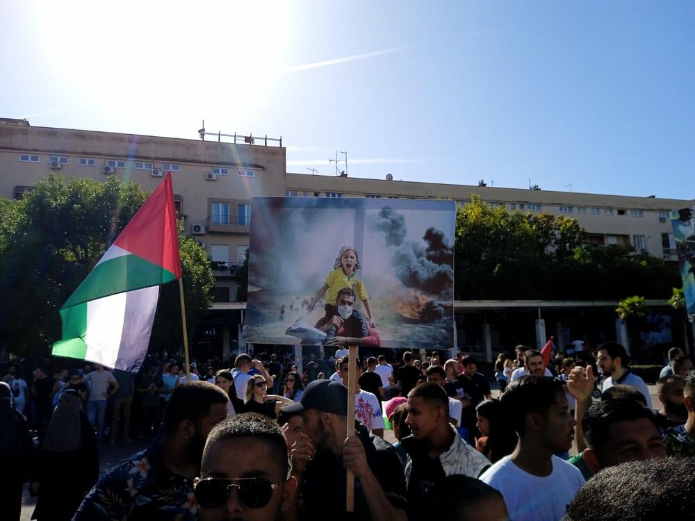 <p>Organizatori protesta su studenti i mladi iz Crnogorsko-palestinskog društva</p>