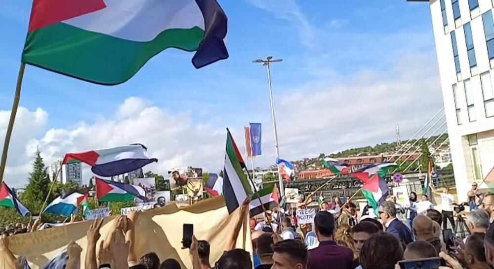 <p>Organizatori protesta su studenti i mladi iz Crnogorsko-palestinskog društva</p>