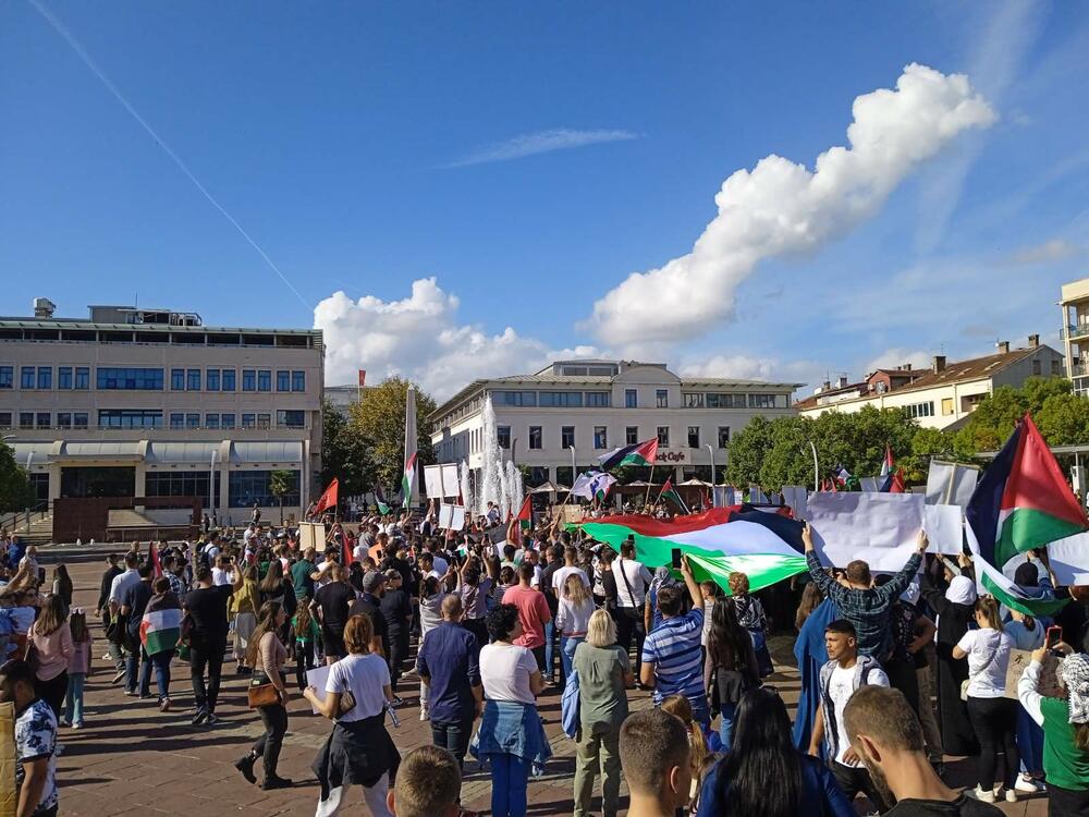 <p>Organizatori protesta su studenti i mladi iz Crnogorsko-palestinskog društva</p>