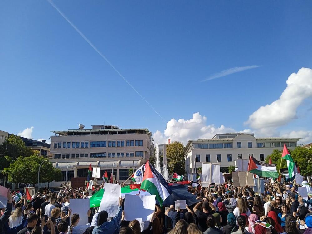 <p>Organizatori protesta su studenti i mladi iz Crnogorsko-palestinskog društva</p>