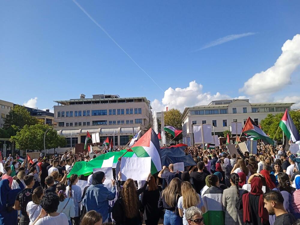 <p>Organizatori protesta su studenti i mladi iz Crnogorsko-palestinskog društva</p>