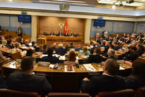 Parlament o VDT-u 27. januara